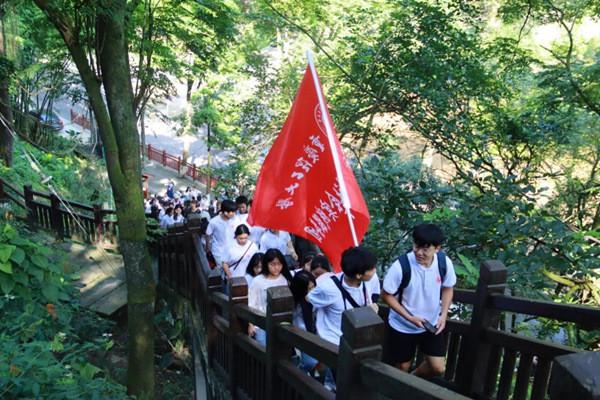 丛林之决战