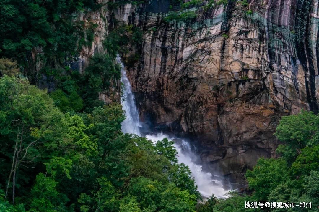 全民烧脑3去广告版