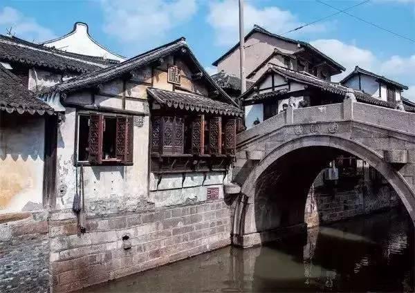 不误农时 茶叶抢种忙